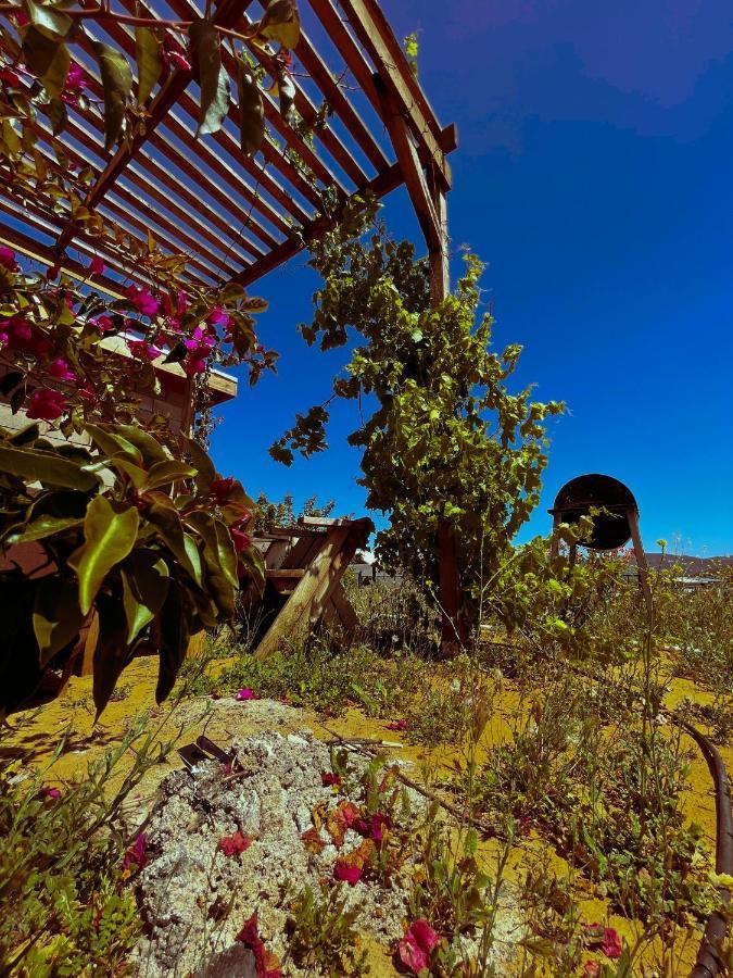 Sn Tony Hotel & Spa Villa de Juarez Exterior photo